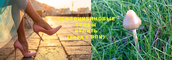 mix Белокуриха