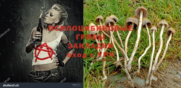 mix Белокуриха